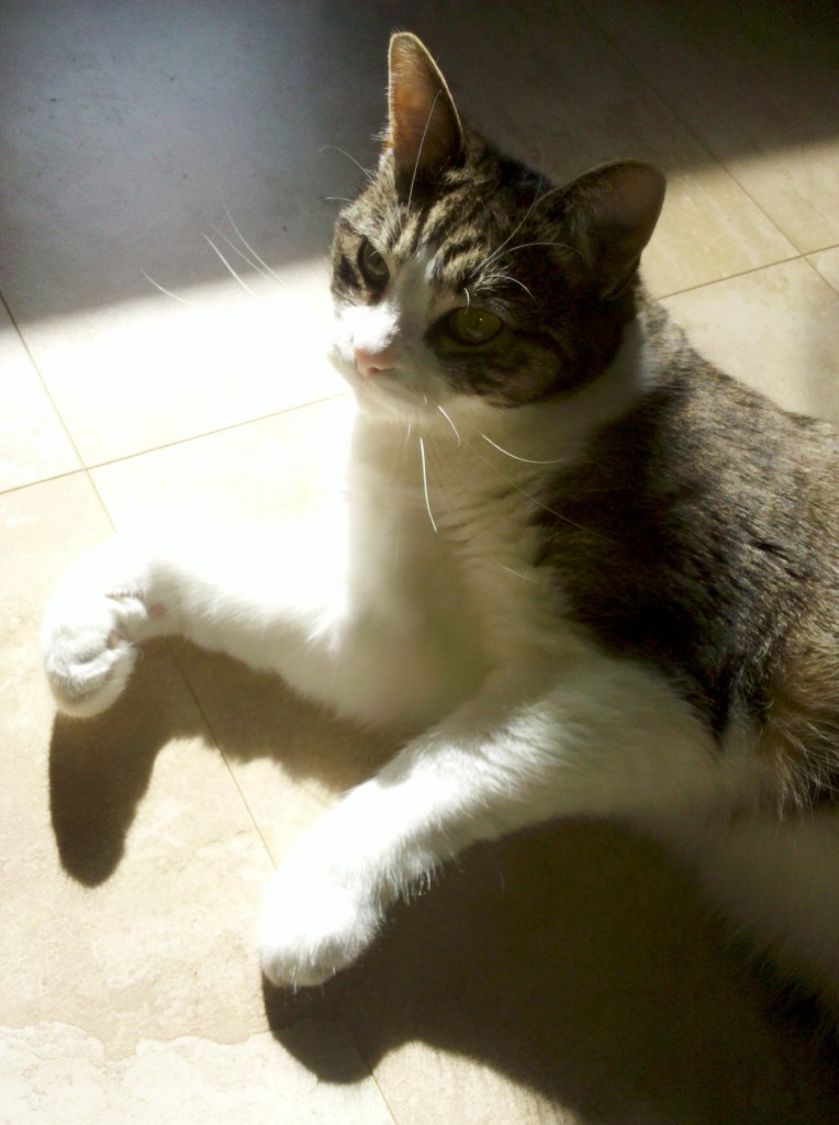 Izabel in the sunlight