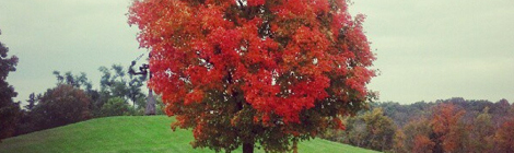 things I love about autumn